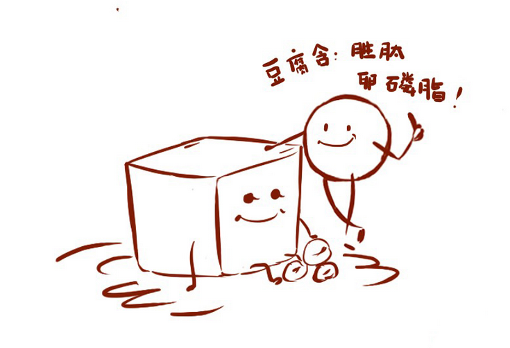 西葫芦 害怕长胖？建议：每天适量多吃7种食物，餐后很“刮油”