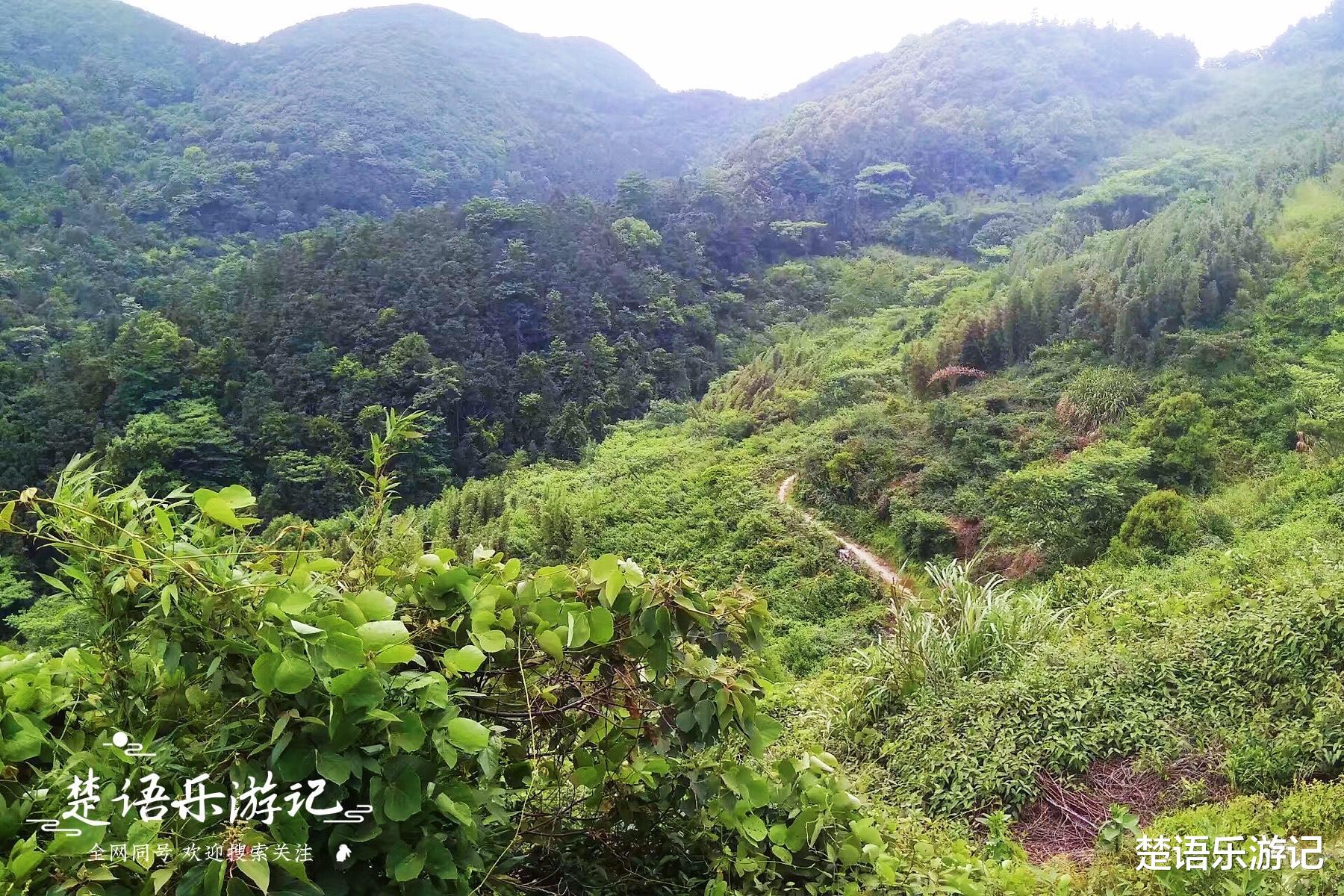 |浙江这个古村地处山岙，村头古道地处三界，风光秀丽成为赏秋胜地