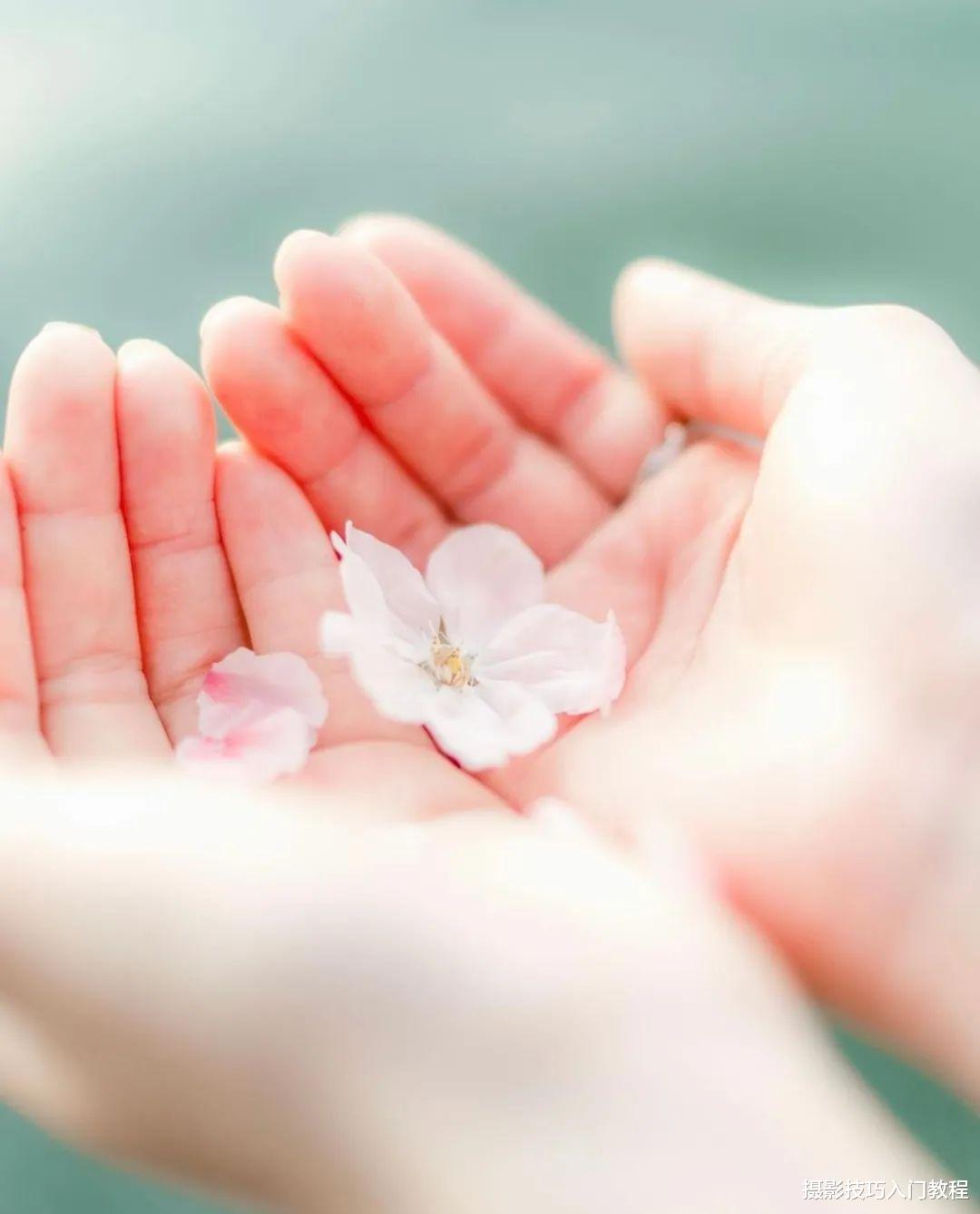 摄影技巧:去植物园赏花,怎么才能避开人群拍出人美花艳的照片?