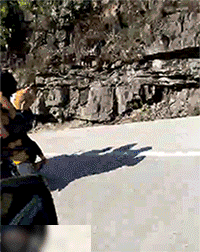 acgn漫评|“让一个动漫角色住在你家,你会选择谁?”网友的回复很真实!哈哈哈