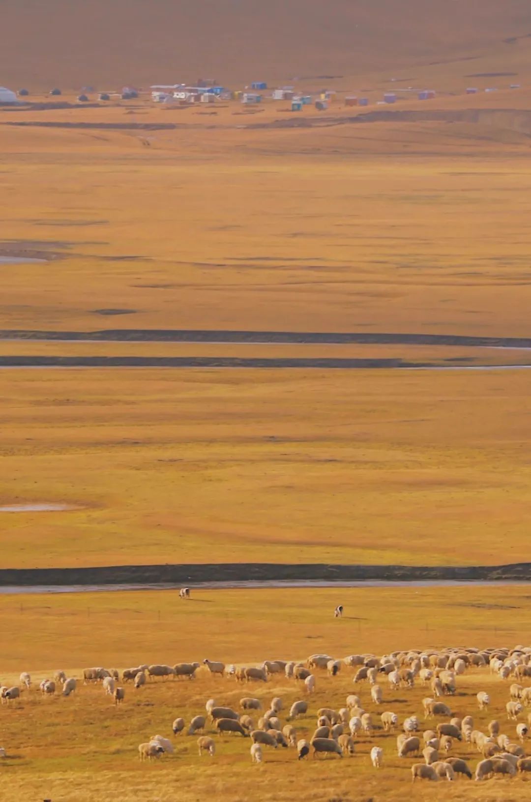 阿尔山|不用去北欧和奈良,9月内蒙才是初秋的童话