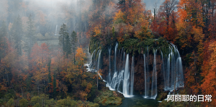 |顺风顺水，生活富足的3属相