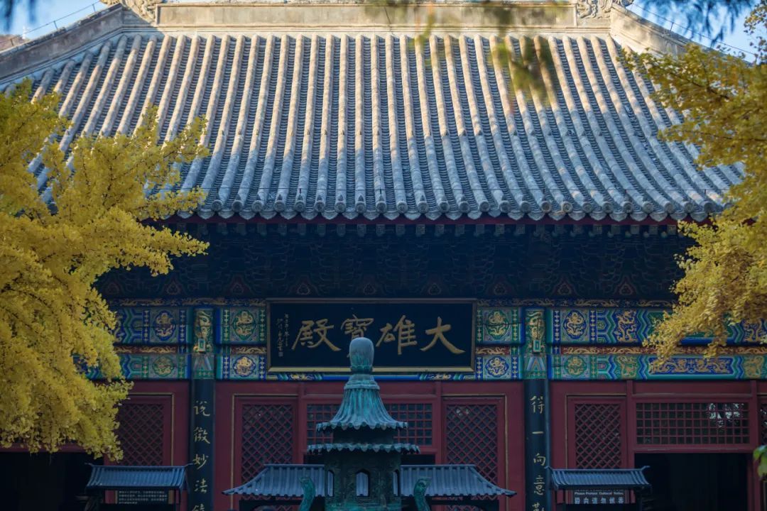北京市|秋天的北京，有一种让人心碎的怀旧气息