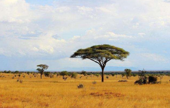 古人类会吃海鲜吗？10万年前的珊瑚化石被发现，或能佐证这一点