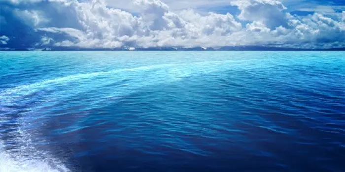 海是海,洋是洋