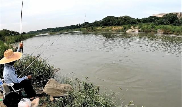 饵料|野外钓鱼不但有十大天然饵料，还有十大经典配方，你都用过几种？