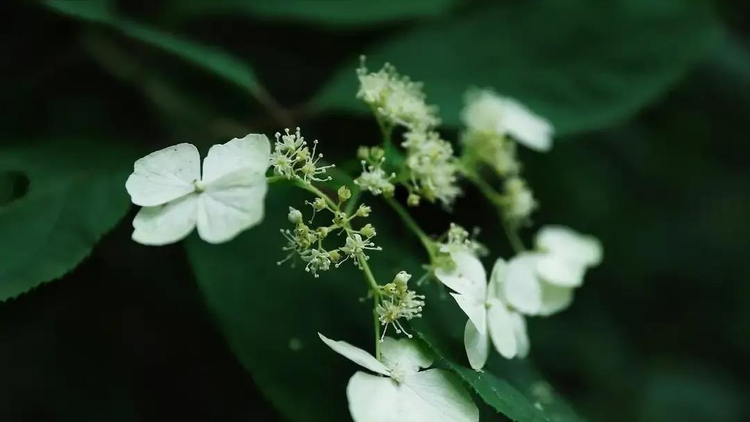 长寿|健康长寿的人,一般都有这几个习惯,看看你有吗?