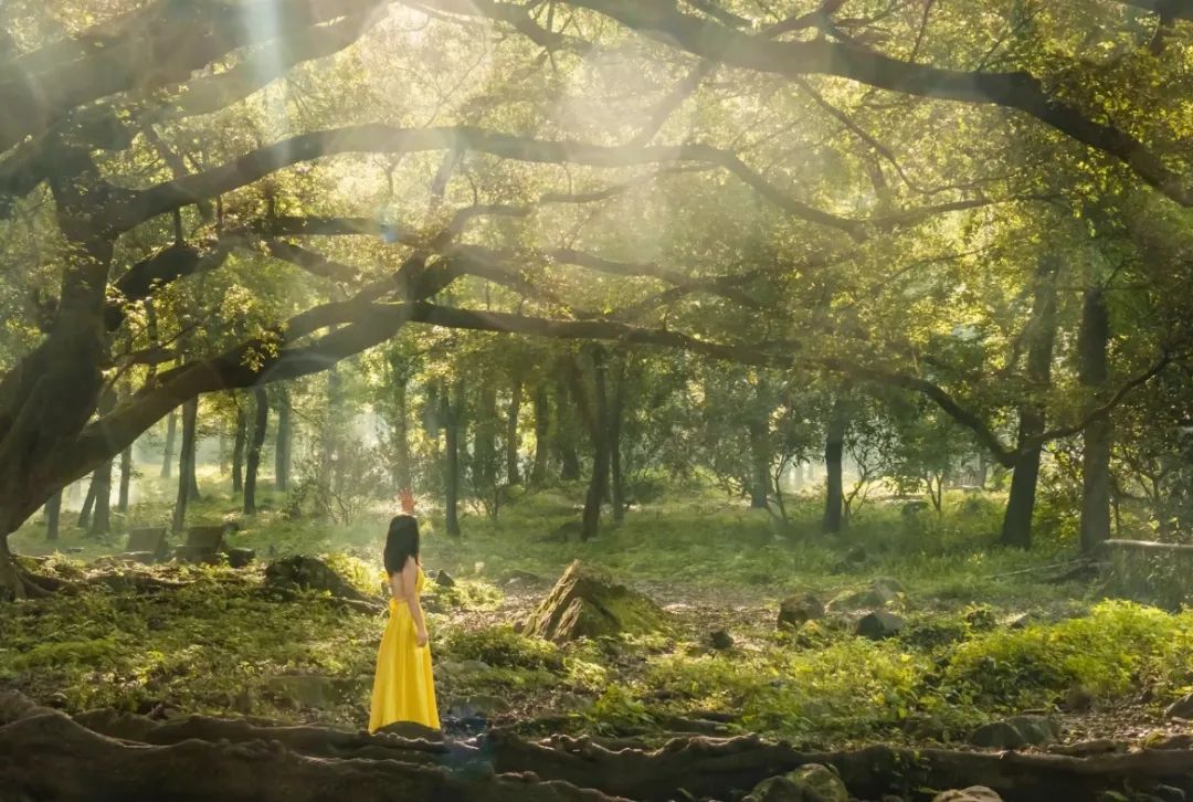 |海岛风光媲美夏威夷,被誉为中国的斯里兰卡,文艺村庄如人间仙境