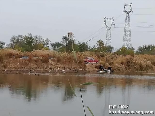 撒网|腥香+酒米,抢了一盆鲫