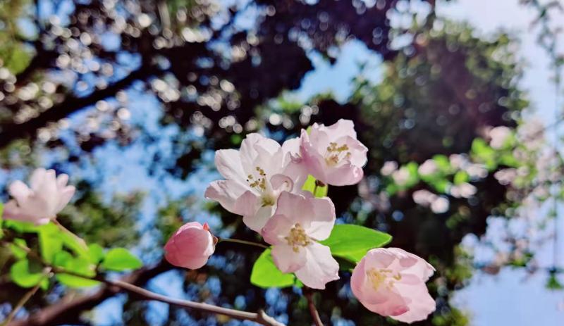 移民|职场，是接受现实还是努力改变？