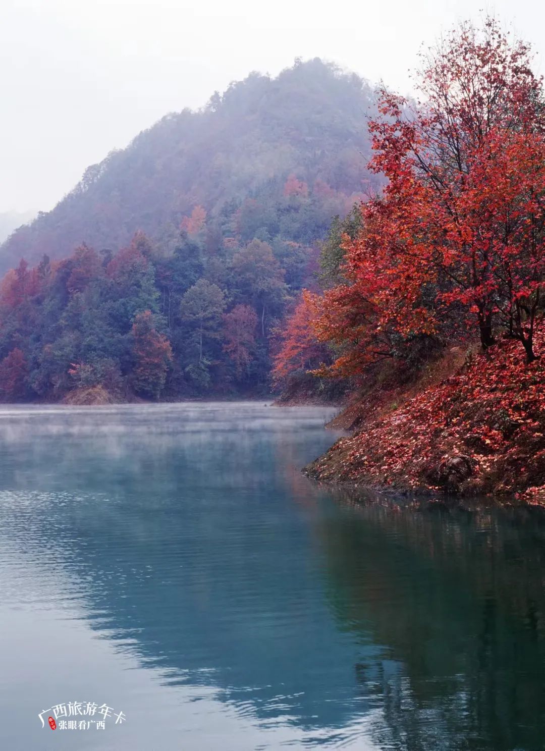 浙江省|你好，十二月！共赏冬酿的时光！| 广西旅游年卡