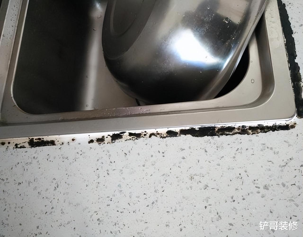 家里墙面霉菌“疯狂”生长?保洁阿姨教你一招,墙壁自动变干净