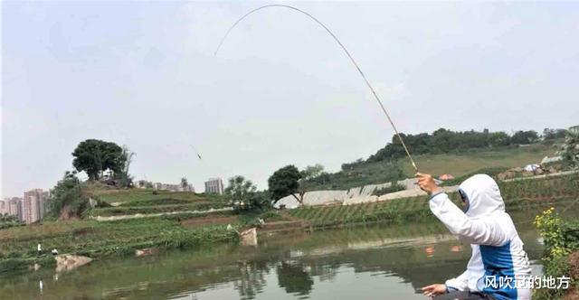 饵料|初春钓鱼这样搭配线组,鱼吃口清晰,竿竿有鱼