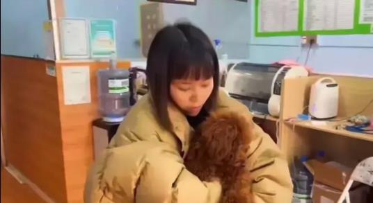 陈珊|田静素质高，不说杜新枝坏话，郭威吃鸡爪陪老婆，熊磊抱狗打点滴