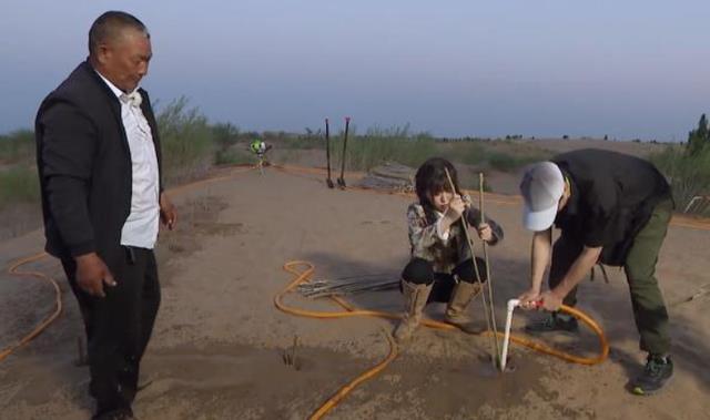 虞书欣|虞书欣在沙漠里种树，却分不清头与根，一双鞋子暴露她是否在作秀