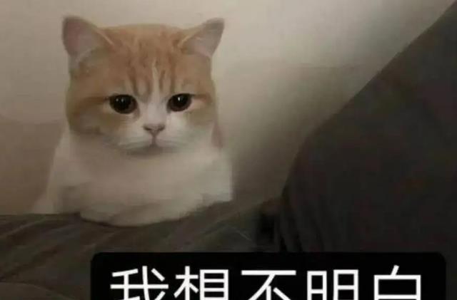 大妈围堵“粉色卫衣”男孩被骂上热搜后，网友：培养伪娘还有理了