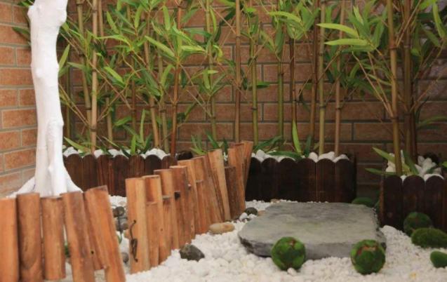 ?新装修的房子养啥花?就选除甲醛寓意好的盆栽,家中的角落全包了