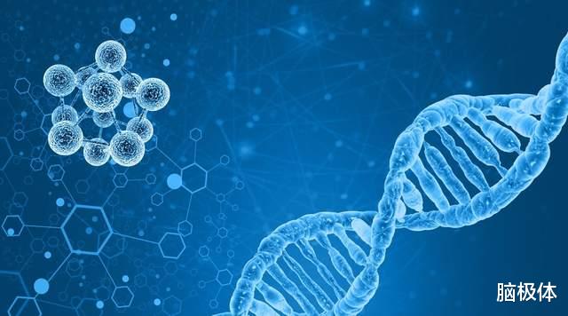 深度学习|从分歧走向融合:图神经网络历经了怎样的演化之路?