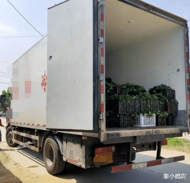 辽宁大连,一车草莓到货后货主称运输不当破皮了,能卖14万只能卖5万要求货车司机赔偿9万元,货车司机不答应了