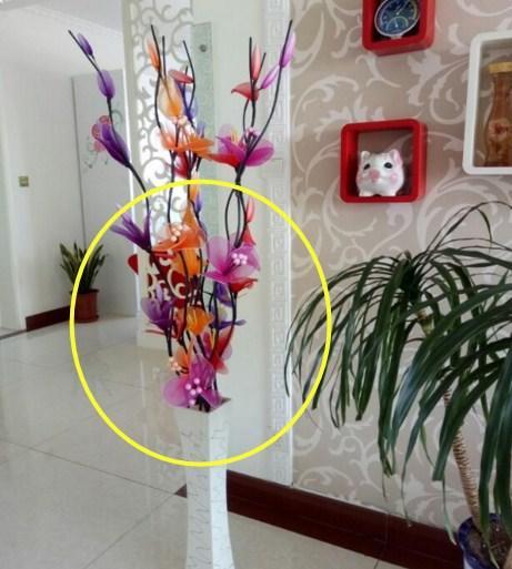 客厅这4种东西万万不要放，老师傅都知道，否则只会诸事不顺