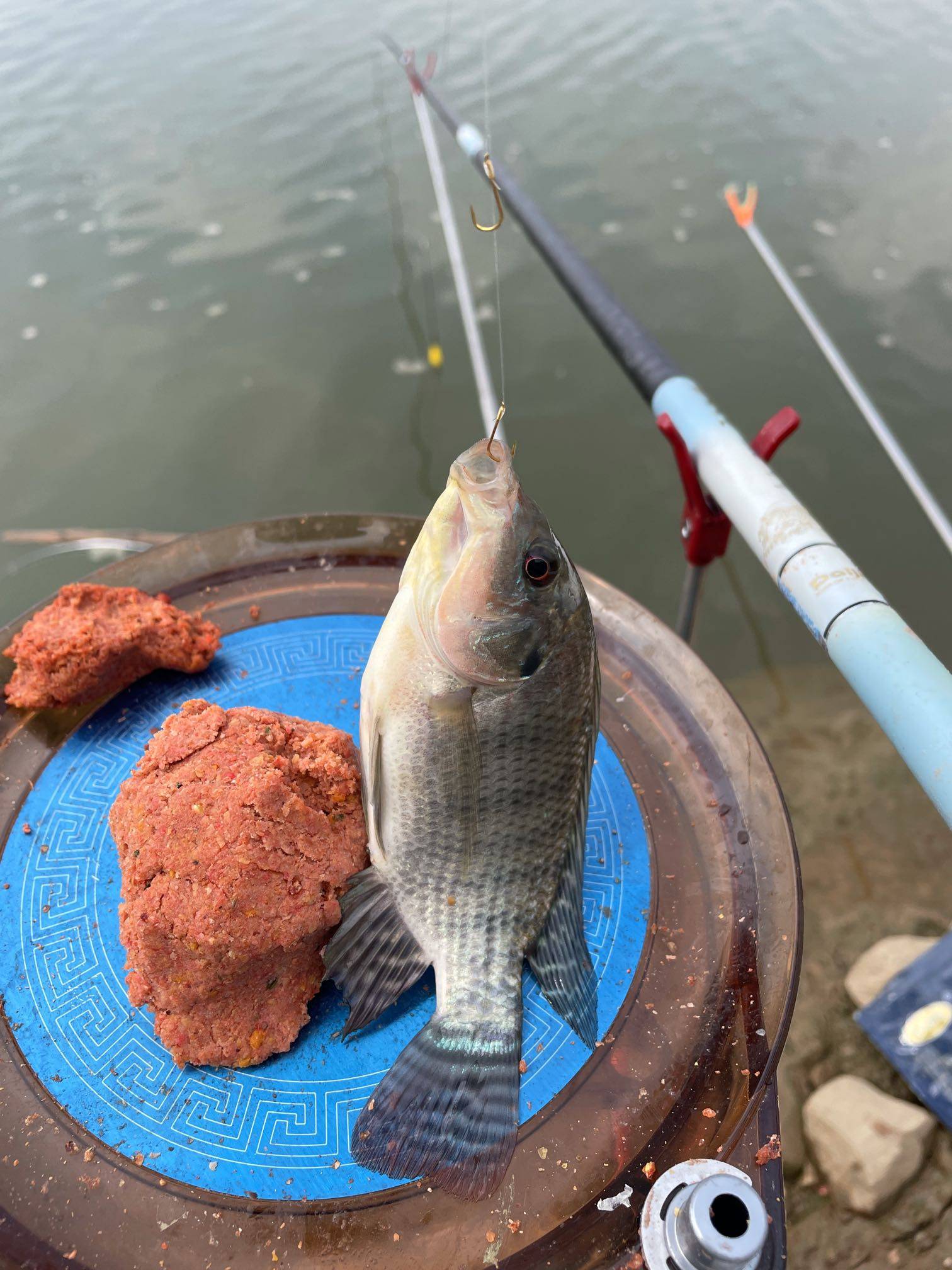 |心中有鱼，手中有竿，得一方碧水，享垂钓人生。