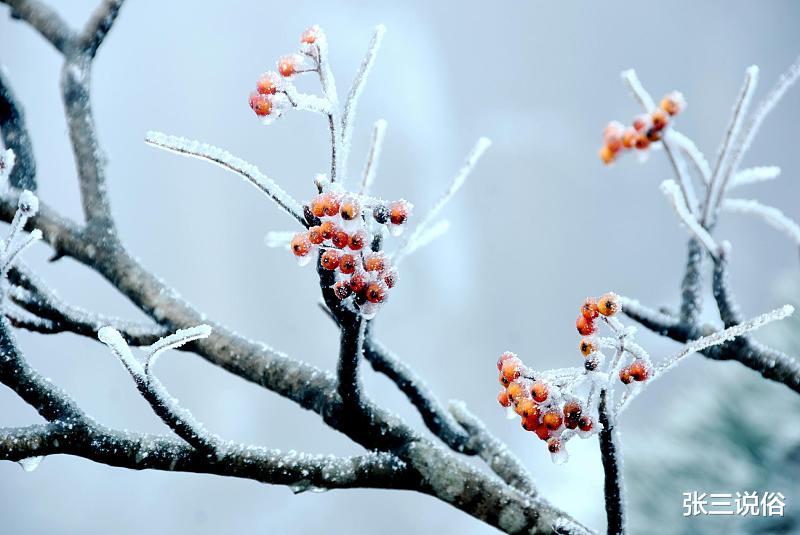 运动|冬季用一宝,上通下顺没烦恼:常见又好用,你知道一宝是啥吗?