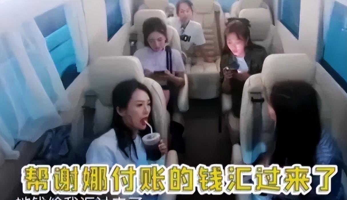 谷爱凌|小八卦，谷爱凌，沈腾马丽，谢娜，张子枫，沈梦辰