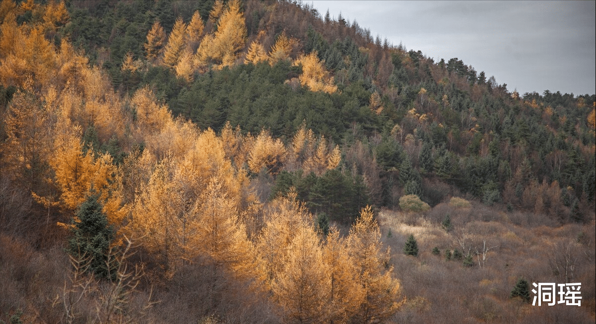 太白县|中国“天然空调城”,年均温7.7℃几乎无夏天,晚上睡觉还要盖被