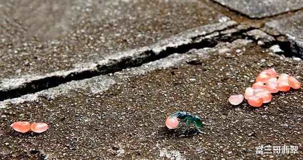 玉雕|玉赏 | 刀尖上的玉雕,叹为观止!