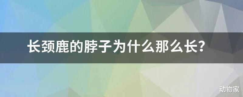 关于长颈鹿的争论,著名科学家们的辩论赛,这个瓜真的是太有趣了