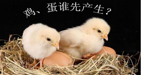 究竟是先有柒号鸡还是先有美学蛋?