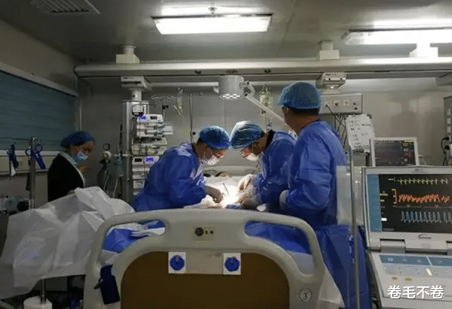 山东老农喝农药身亡,尸体第二天火化,弟弟报警发现凶手身份特殊