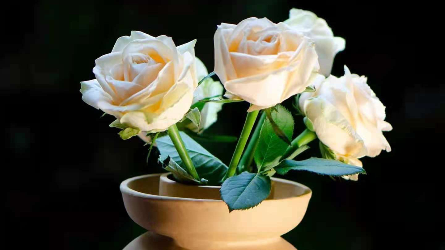 为什么疫情在核酸上砸那么多钱？