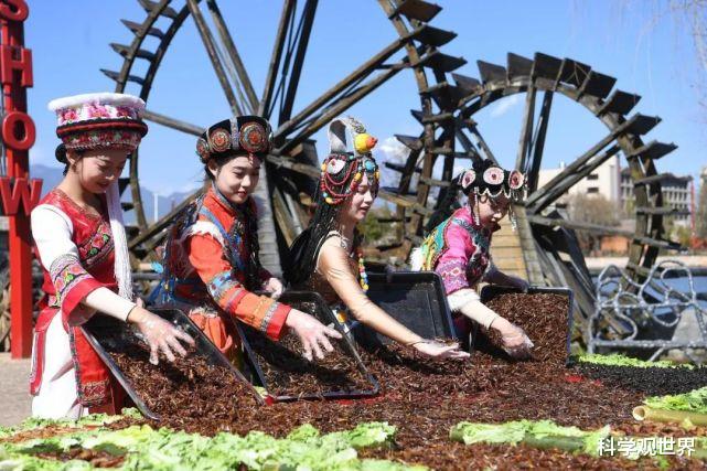 多吃昆虫或解决人类食物危机?科学家:昆虫应该搬上我们的餐桌