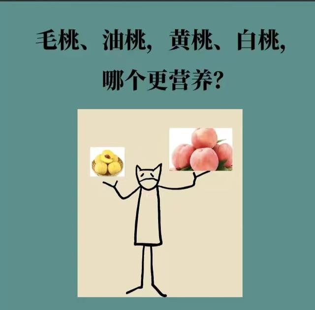 医学|毛桃、油桃，黄桃、白桃，哪个更有营养？看完或明白