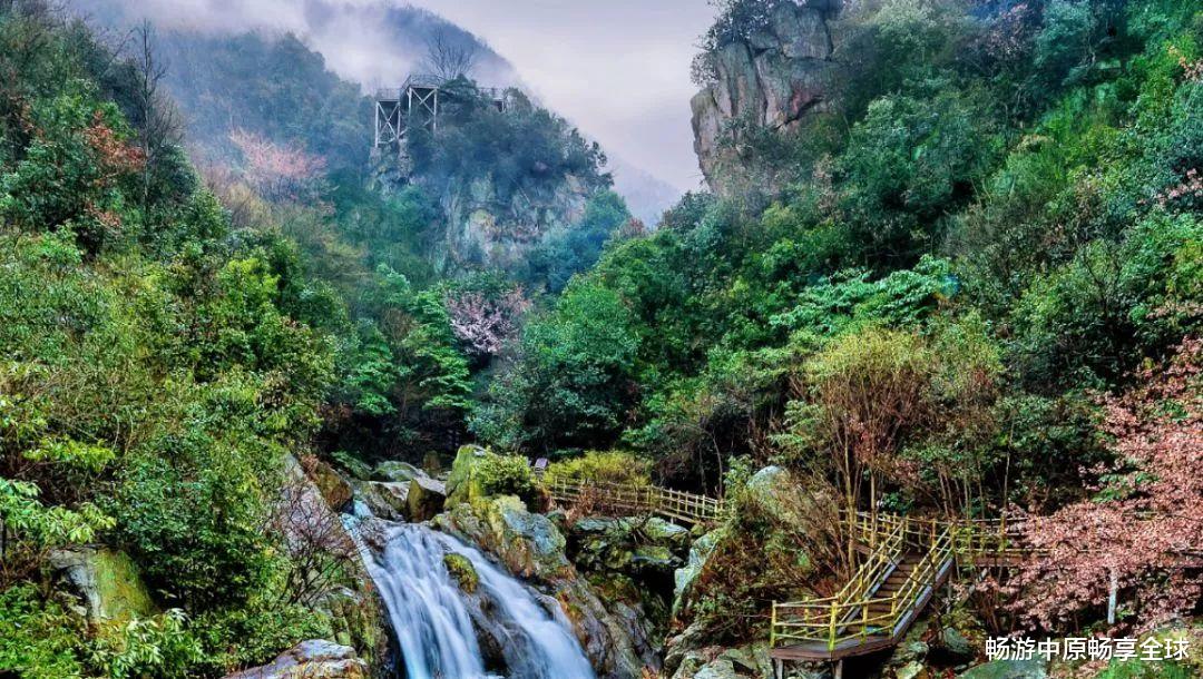 |520告白季|一起相约龙津溪地,共赏浪漫盛宴