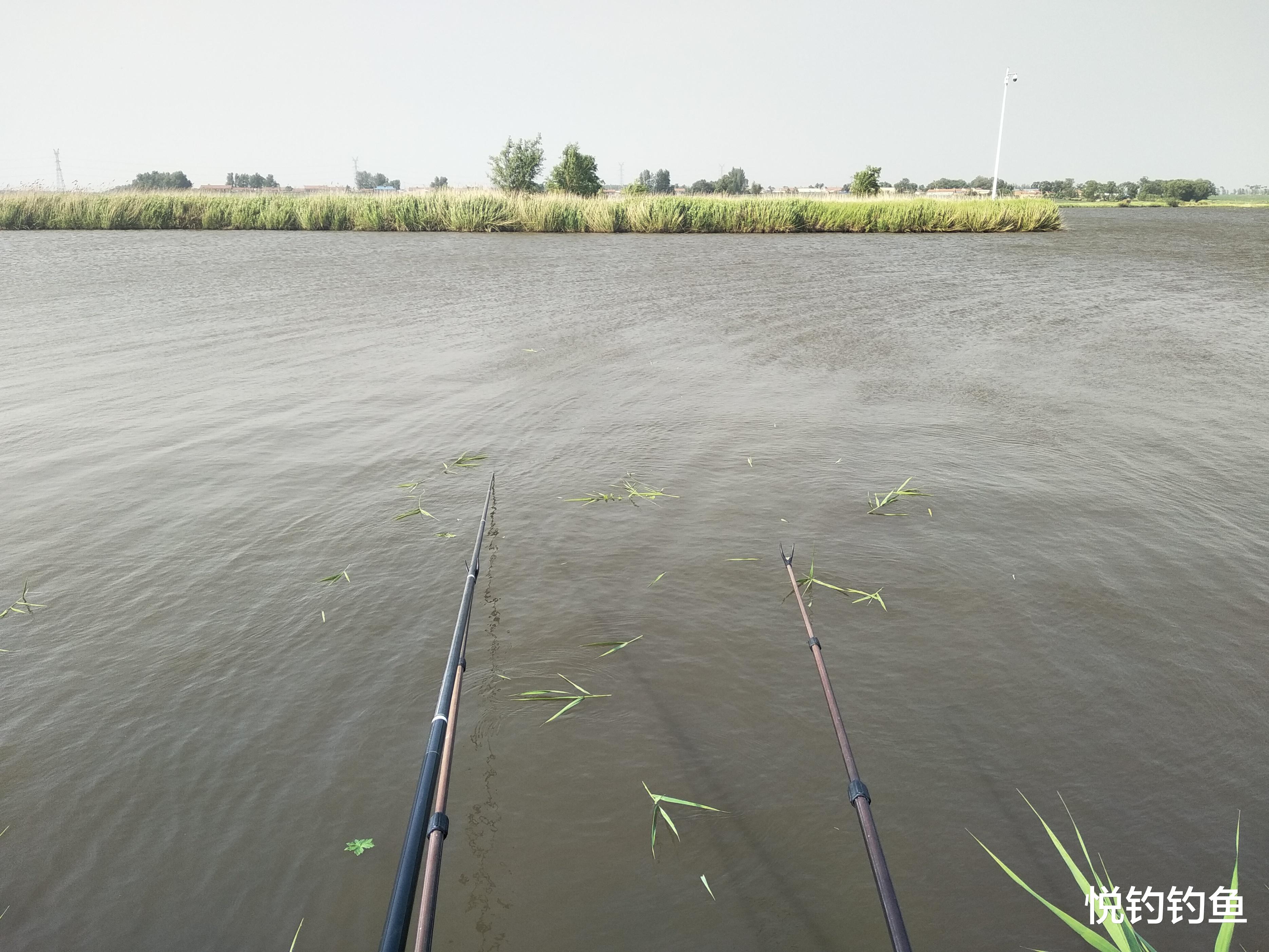池州|温度多变的春季出钓，风的影响也不容小觑，我有两个应对方法