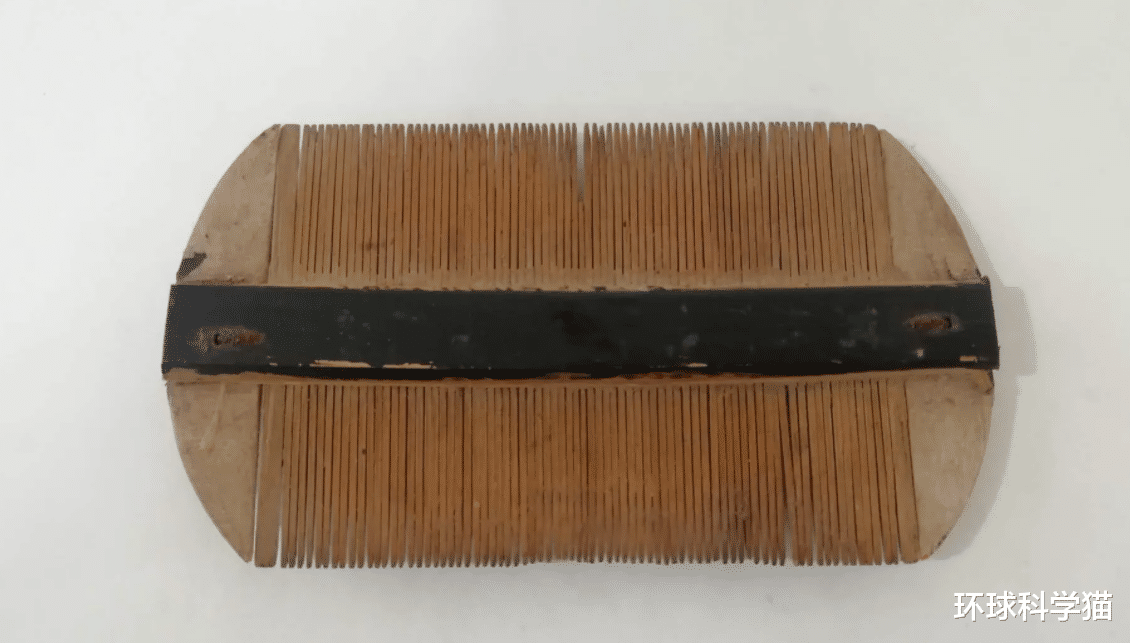 ?比人出现更早,活上千万年的虱子,30年前常见,为何如今难见到?