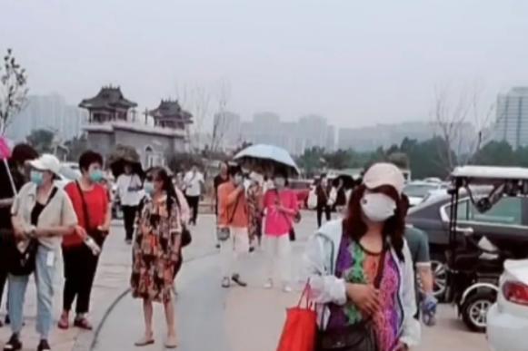谢律自曝惊雷,杜新枝现场失控被赶出庭审,许妈感动落泪