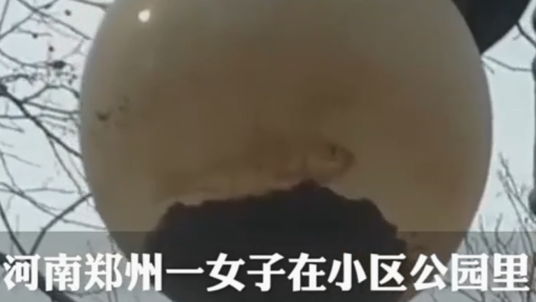 河南|河南有人称小鱼被困灯中半年，可能么？为了流量科学都不要了么！