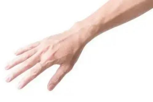 运动|有的人手臂“青筋暴起”,而有的人几乎看不到青筋,哪种更健康