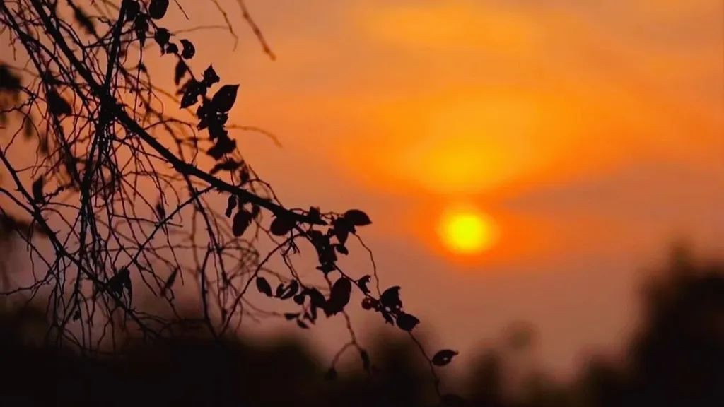 腾冲|随笔：写写秋天的那些风物