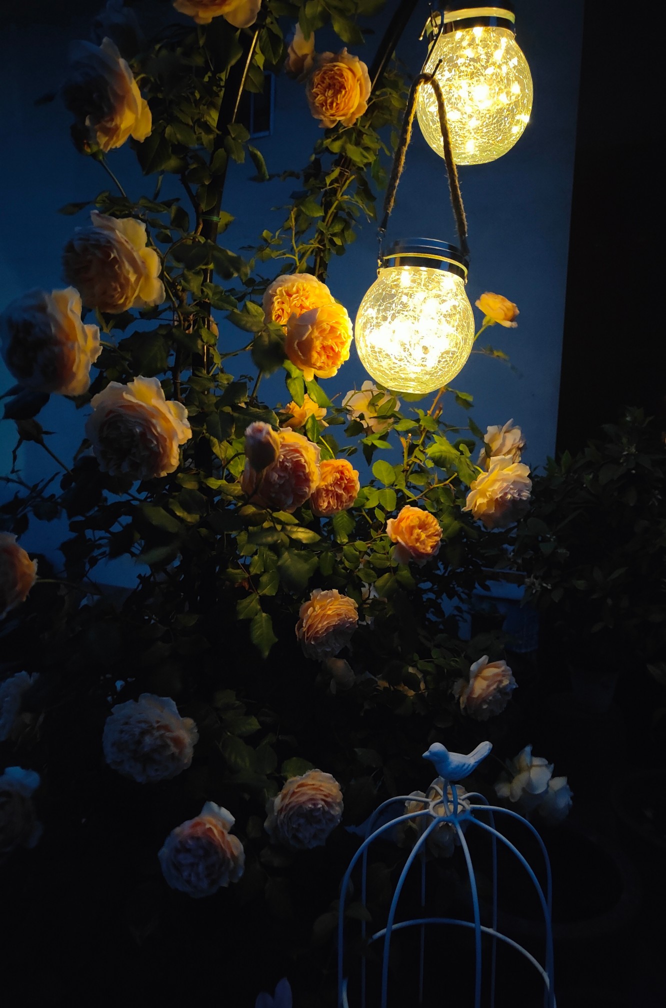 40㎡露台改造,DIY折腾成小花园,每一个角落,都美得一塌糊涂