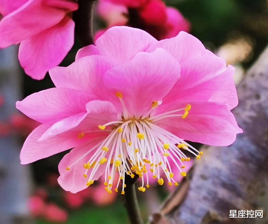 韶关|哪些日子出生的人,大胆有冲劲,新年好运,成长空间广阔有后劲