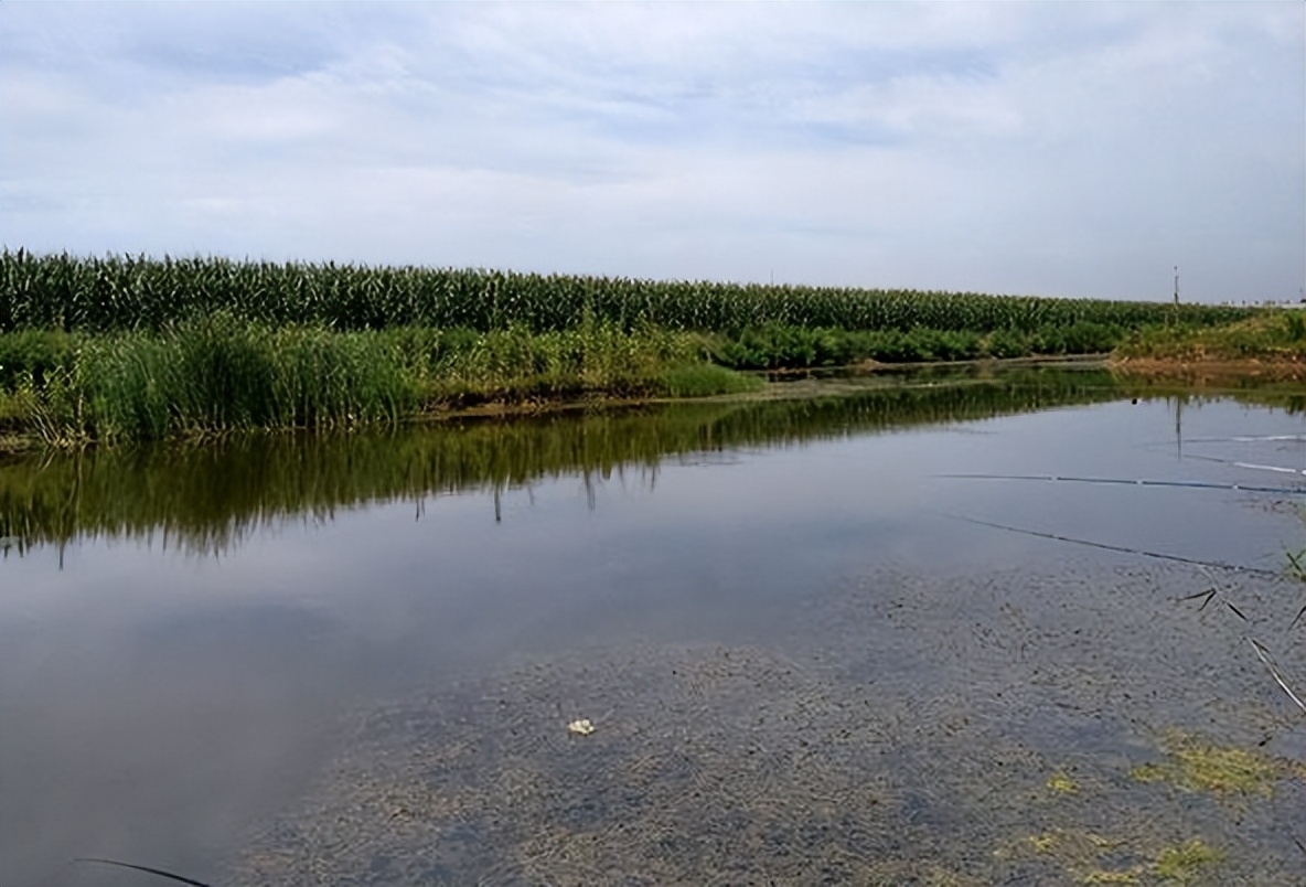 |盛夏钓鱼，鱼不开口怎么办？做好3点，大鱼小鱼上不停，轻松连竿