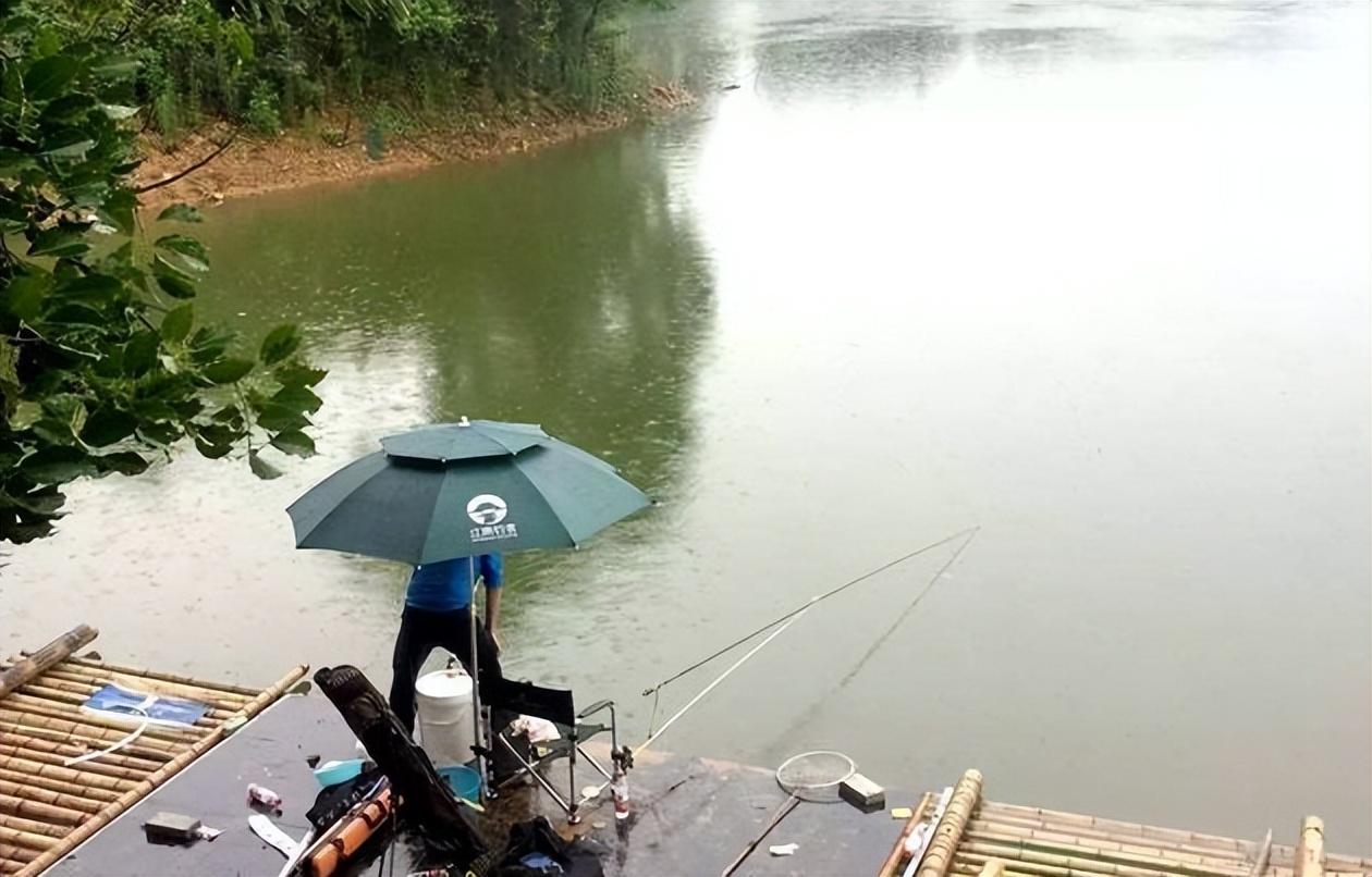 |初夏野钓下雨就能爆护？错！牢记3个“雨钓”秘诀，下竿就中鱼