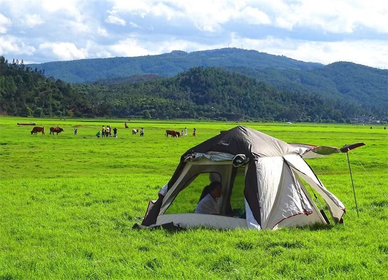 北红村|打卡！南华这片绿色大草甸，太适合露营了