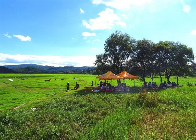 北红村|打卡！南华这片绿色大草甸，太适合露营了