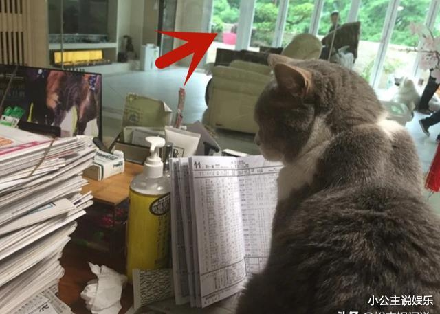 陈百祥|陈百祥过亿豪宅曝光!顶层可容纳上百人,房外巨型鱼缸太抢眼