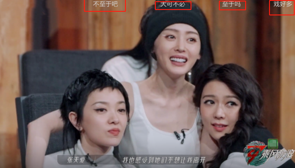 张天爱|《浪姐3》张天爱成第二个“赵樱子”？被满屏吐槽的她，做错了啥
